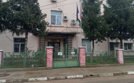 Мъж от Лом задържан за стрелба с въздушен пистолет по съседи