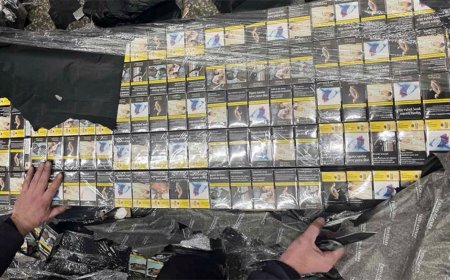 Задържаха контрабандни цигари на стойност над 115 хиляди евро на ГКПП Капитан Андреево