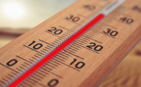 38,4 градуса на сянка измерени в Русе, общината обособи пункт за помощ