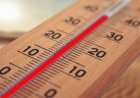 38,4 градуса на сянка измерени в Русе, общината обособи пункт за помощ
