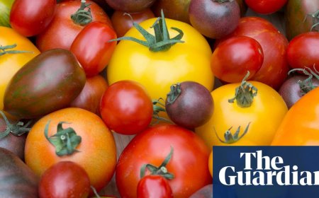 Продажбите на нечервени домати във Великобритания растат с 21%