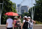Гореща вълна удари Великобритания с температури до 36 градуса