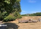 Двама арестувани в Лондон по подозрение за убийство, тяло открито в куфар