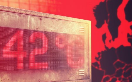 Екстремни горещини във Франция: над 40 градуса, нарушения в транспорта и смъртни случаи