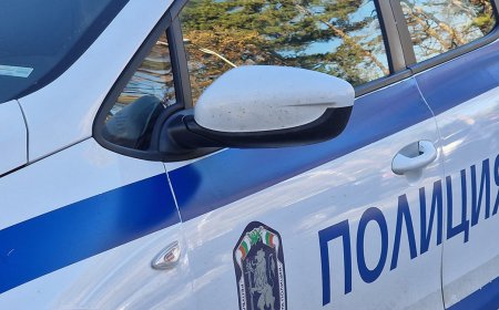 Двама загинаха, трима са ранени при тежка катастрофа на главен път Е-79