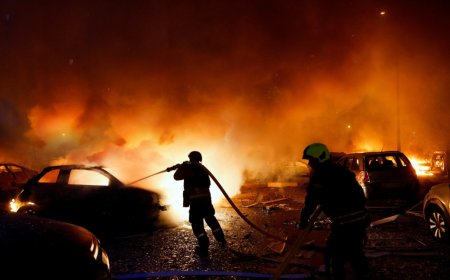 Европа страда от рекордна жега и опустошителни пожари