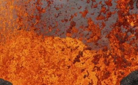 Учени откриха уникални златни кристали в снега край вулкана Еребус в Антарктида
