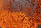 Учени откриха уникални златни кристали в снега край вулкана Еребус в Антарктида